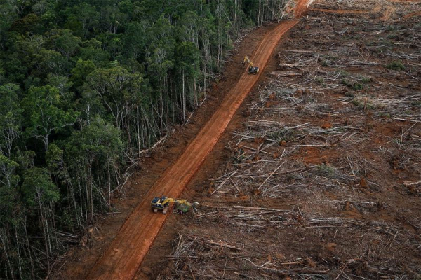 Greenpeace: Evropské banky vložily 256 miliard eur do firem, které ničí přírodu a klima