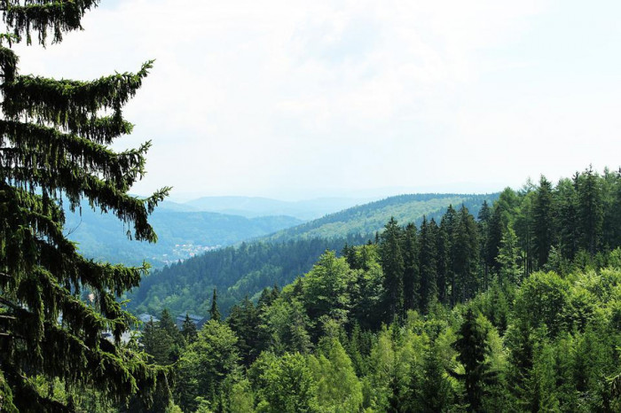 Federace EUROPARC ocenila české národní parky