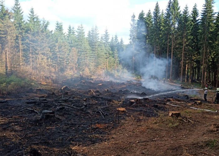 Hasiči likvidovali u Střbrné na Sokolovsku požár lesa, hasit pomáhal i vrtulník