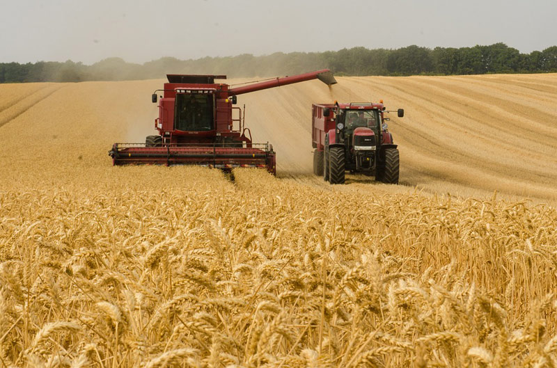Český statistický úřad: Zemědělci se potýkají s výrazným růstem cen vstupů