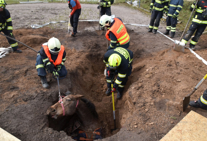 3. stupeň poplachu byl vyhlášen při záchraně koně, který se na Sokolovsku propadl do starého důlního díla