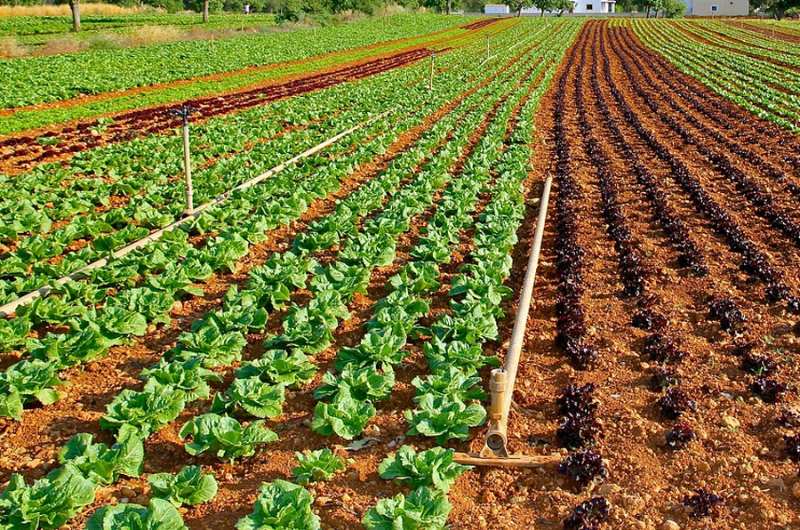 Ministerstvo zemědělství snižuje byrokracii v ekologickém zemědělství. Zvýší se i některé dotace