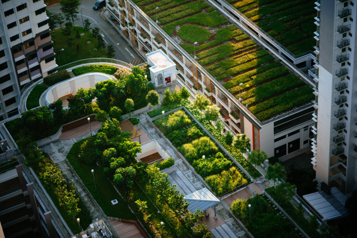 Zelené střechy: Budoucnost moderního stavebnictví