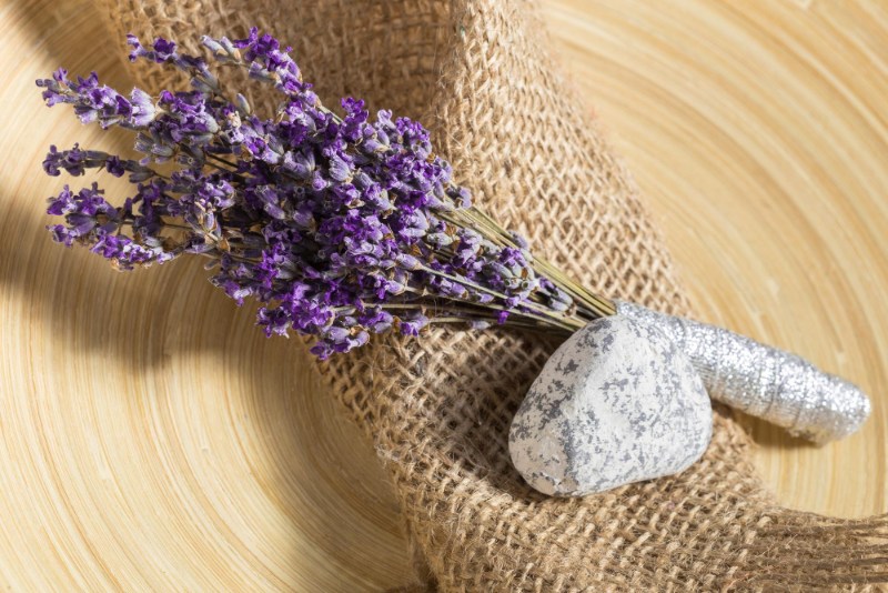 Jak využít levanduli? Sušte léčivou bylinu pro relax, dekoraci i do kuchyně