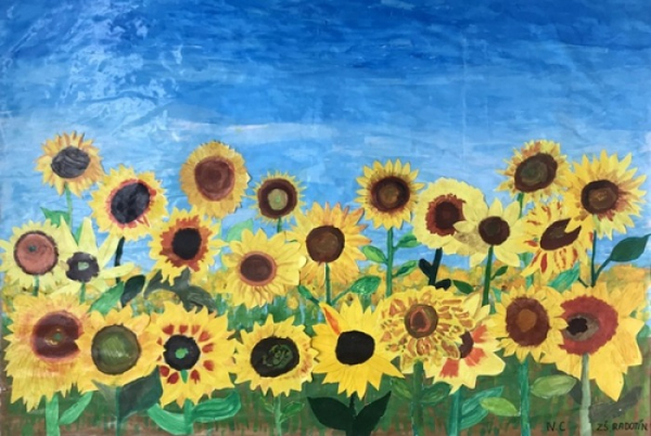 Děti nakreslily stovky slunečnic - podporují tak nemocné 