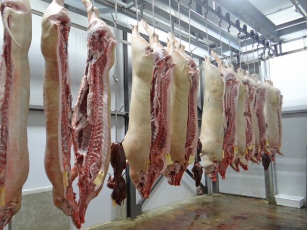 Státní veterinární správa doporučuje nevozit vepřové maso a masné výrobky ze zemí s výskytem afrického moru prasat
