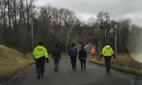 Jihomoravští celníci zadrželi v polích jižní Moravy čtyři nelegální běženci