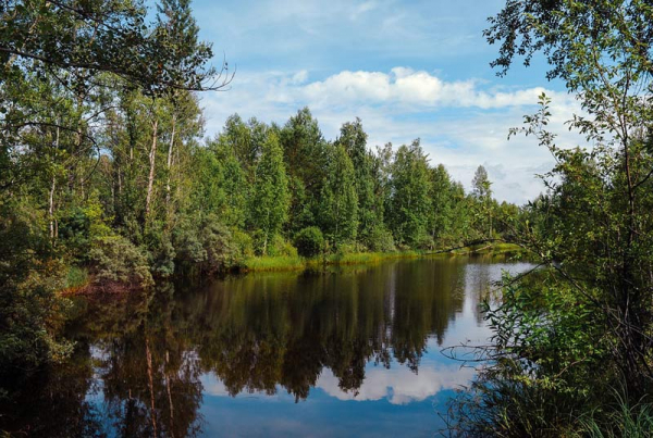 Lesy ČR obnovily v Plzeňském kraji šest vodních nádrží