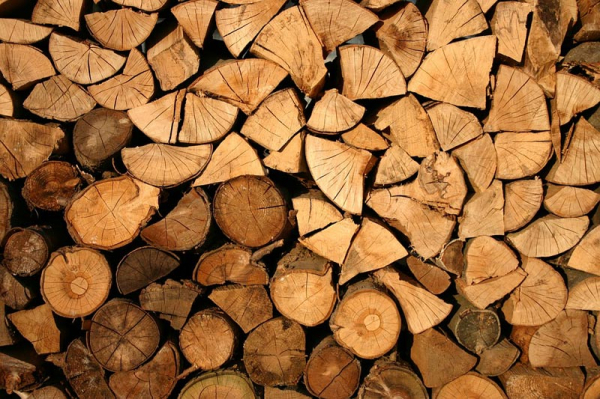 3 mýty o palivovém dřevu