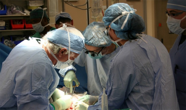 288 zemřelých dárců orgánů pomohlo nemocným v záchraně života