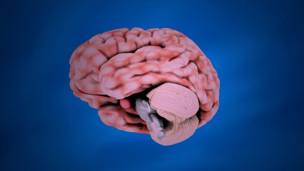 Cévní mozková příhoda může postihnout i mladé. ZP MV ČR na její léčbu loni vydala půl miliardy korun 