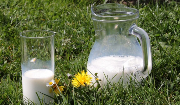 Test mléka - čerstvé, nebo raději trvanlivé?