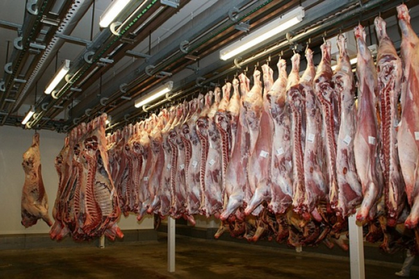 Vývoz živočišných produktů navzdory pandemii COVID-19 roste