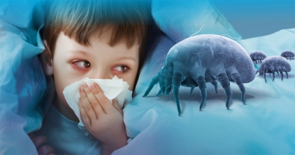 Roztoči domácího prachu jsou vůbec nejčastějším spouštěčem alergií v domácnostech