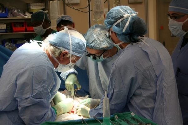 Covid-19 ovlivnil transplantace v České republice  