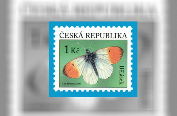 Výplatní poštovní známka Bělásek z autorské dílny Jaromíra a Libuše Knotkových rozšíří sortiment doplňujících poštovních známek