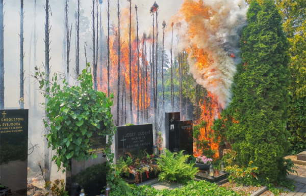 Požár více než osmdesáti tújí na Vinohradském hřbitově způsobil škodu přes 100. tisíc korun