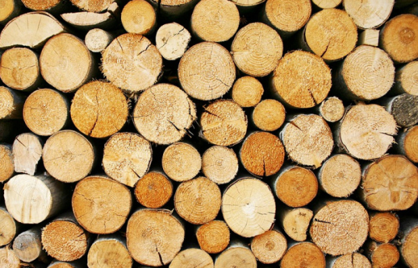Dřevo na nový krov nebo sto tisíc korun darují Lesy ČR vlastníkům domů postiženým tornádem