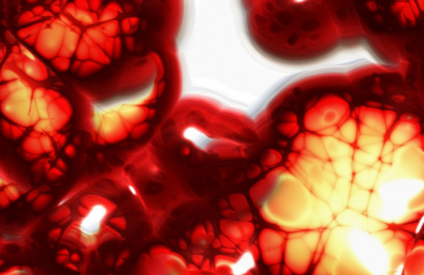 Vědci objevili novou roli krevních buněk