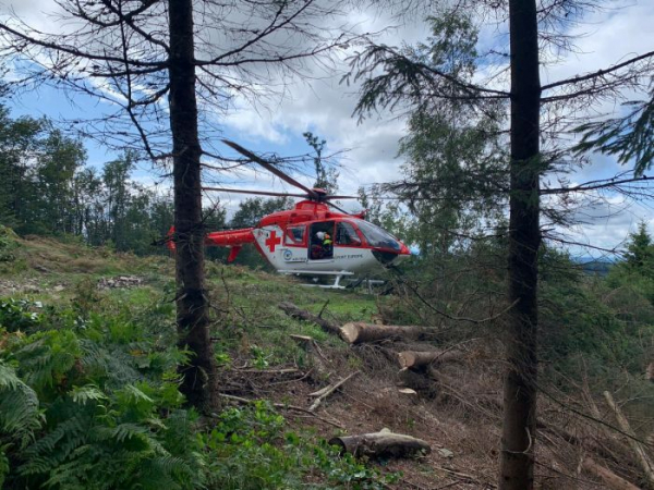 Na muže při kácení dřeva spadl strom. Vrtulník ho transportoval do nemocnice 