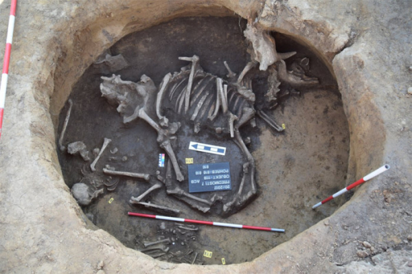 Podivné hroby, vzácné šperky a mince. Archeologové z Olomouce odkryli překvapivé nálezy