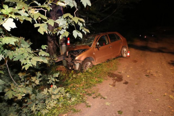 Opilý a zdrogovaný řidič nezvládl řízení a narazil do stromu, tři spolucestující se zranili