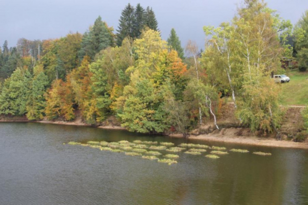 Jablonecká přehrada Mšeno má jedinečný způsob čištění vody v ČR
