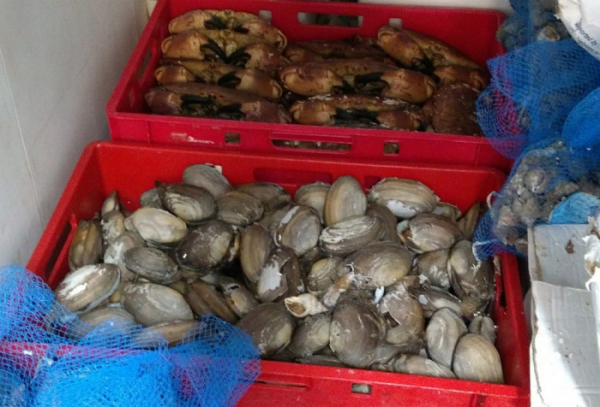 V pražské tržnici SAPA odhalili veterináři 2,5 tuny neoznačených potravin