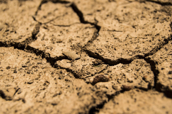 Vědci z Intersucha a platforma Windy.com předpovídají sucho téměř pro celý svět