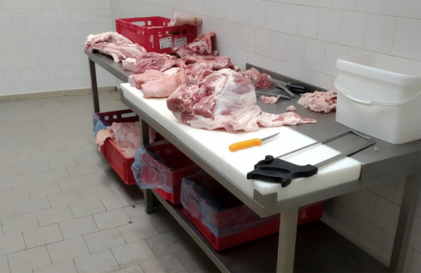 Státní veterinární správa odhalila nelegální bourárnu vepřového masa v Trutnově
