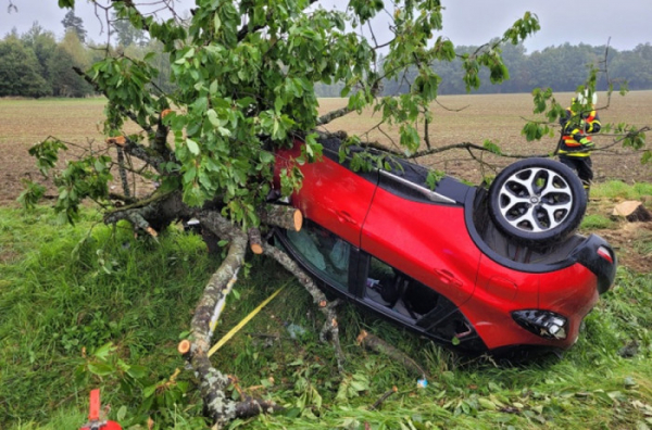 Hasiči vyprošťovali řidičku z osobního automobilu na Opavsku, na který spadl strom