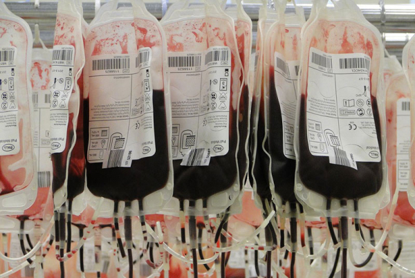 Stát upravuje pravidla pro dárcovství krve tak, aby nebyli diskriminováni homosexuálové